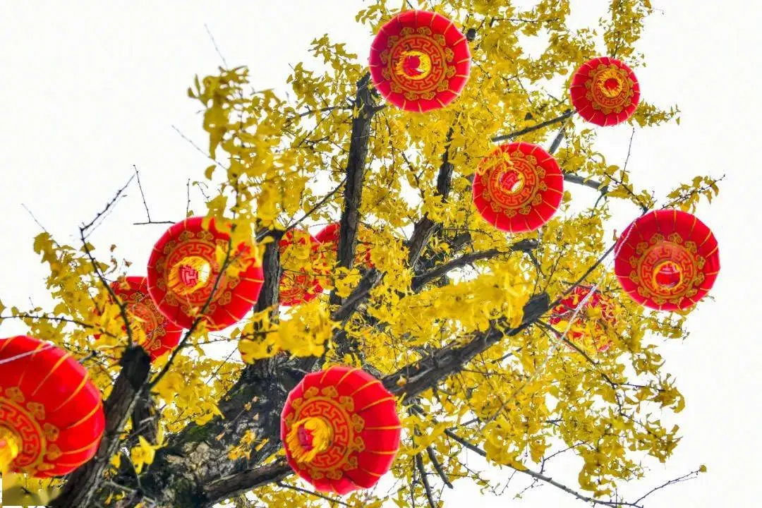 手机动漫2k壁纸_壁纸动漫手机壁纸男_壁纸动漫手机壁纸