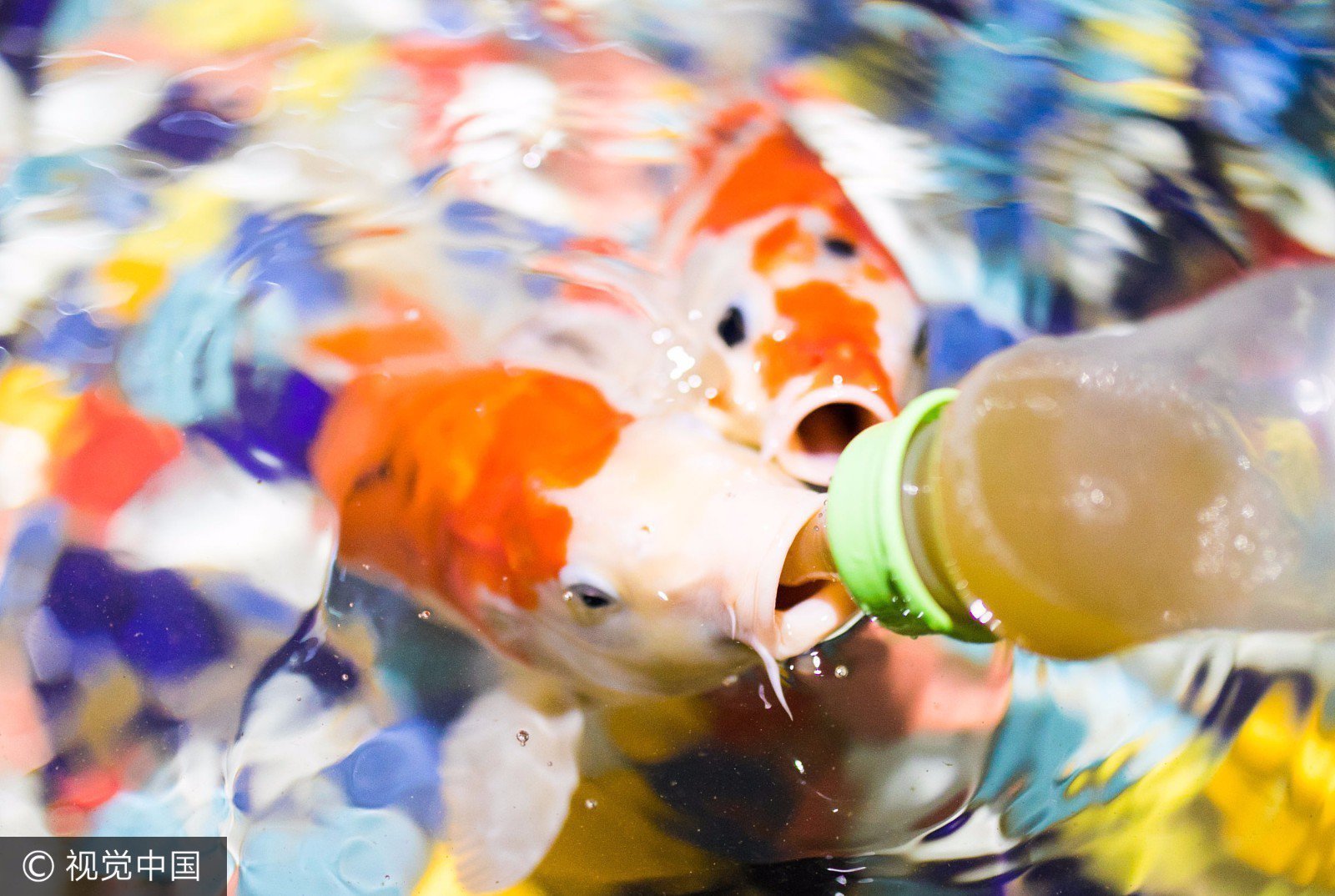 tbc追踪鱼点_怎么样才能追踪鱼点_追踪渔点