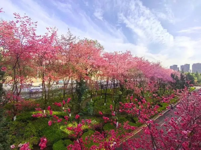 欲望学院动漫磁力链接_欲望学院动漫磁力链接_欲望学院动漫磁力链接