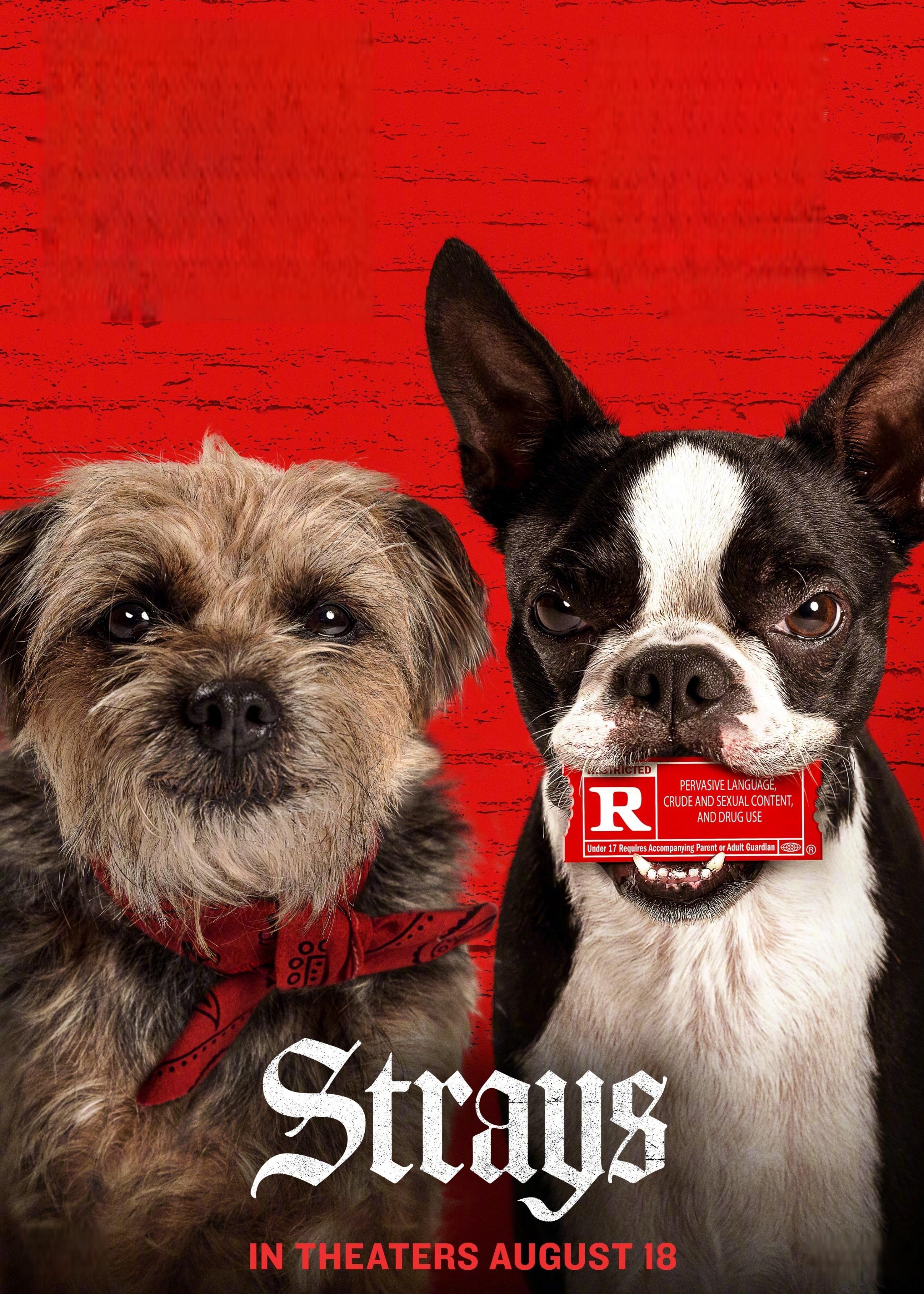 皮囊游戏剧情介绍-皮囊游戏：心跳加速的灵魂冒险，揭开内心世界的层层挑战