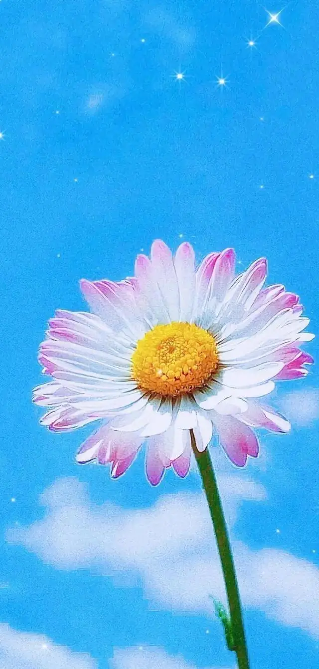 宫崎摩耶动画_宫崎骏摩托_宫崎骏动画大全