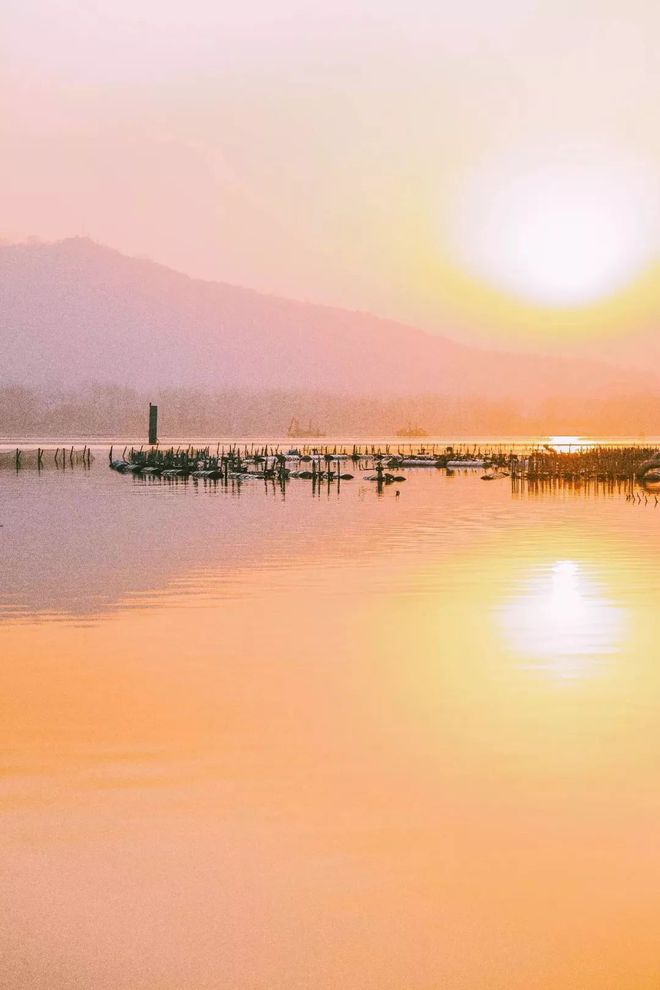 金陵池中_金陵岂是池中物下载_金陵春程池