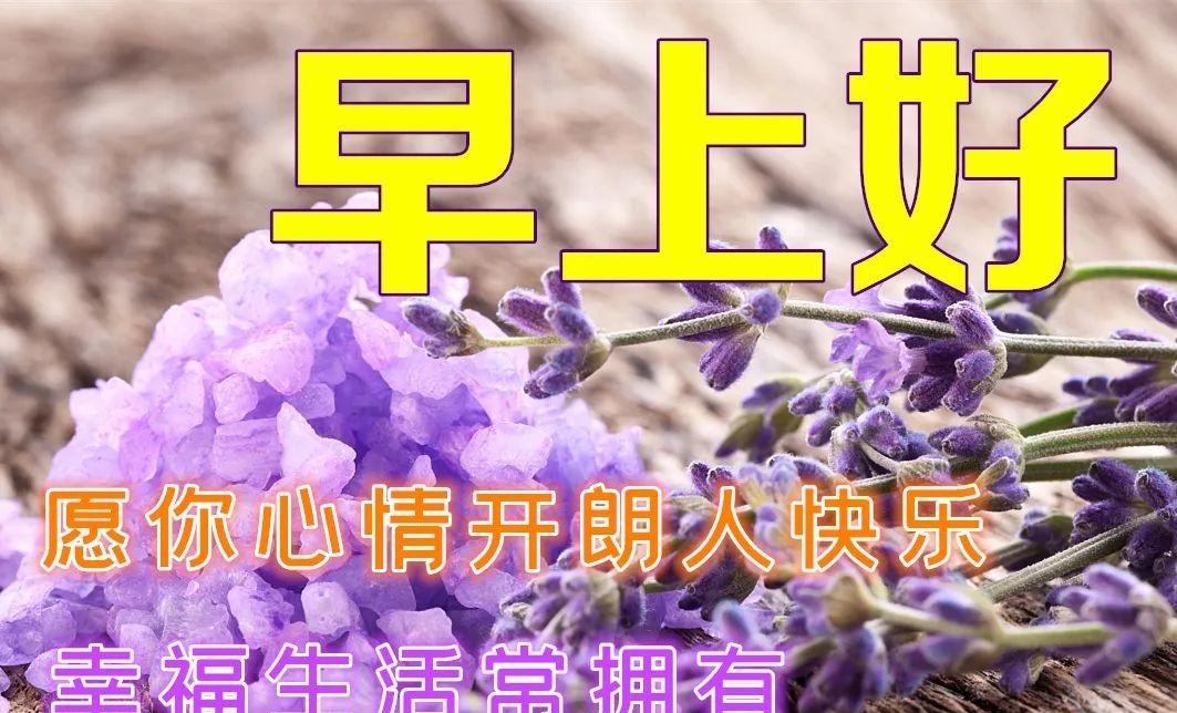 河原崎家的一族2游戏_河原崎家的一族2游戏_河原崎家的一族2游戏