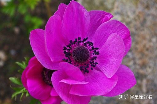 红5规则_红五游戏规则_红五规则简介