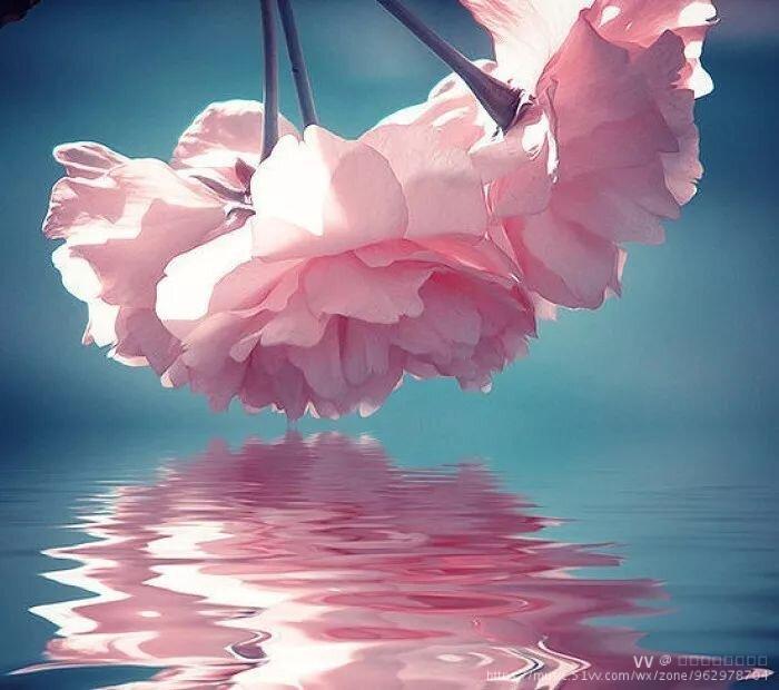 网游之梦幻世界夏侯_梦幻世界夏侯_网游梦幻夏侯世界怎么样