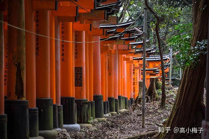 日语好的翻译软件_哪个日语翻译软件好_日语翻译软件好用不