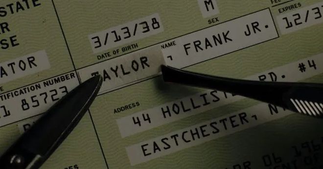 小猫汤姆游戏：充满乐趣与挑战的冒险之旅