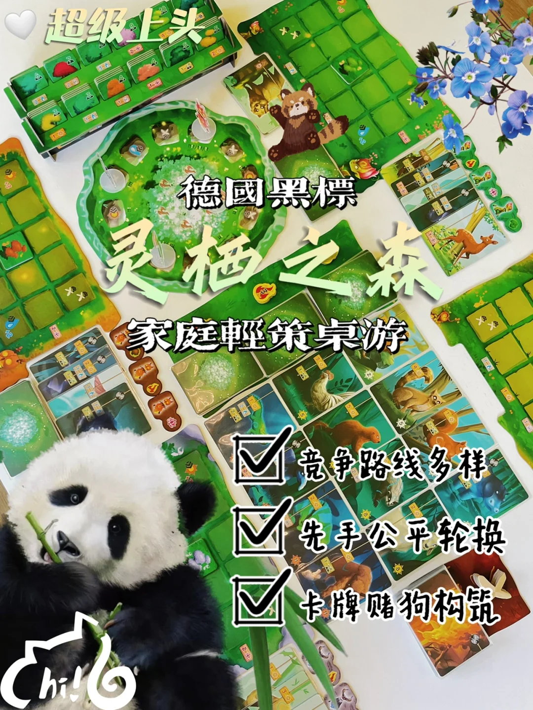 lost city 桌游-心跳加速的桌游迷失之城：一场穿越丛林的冒险之旅