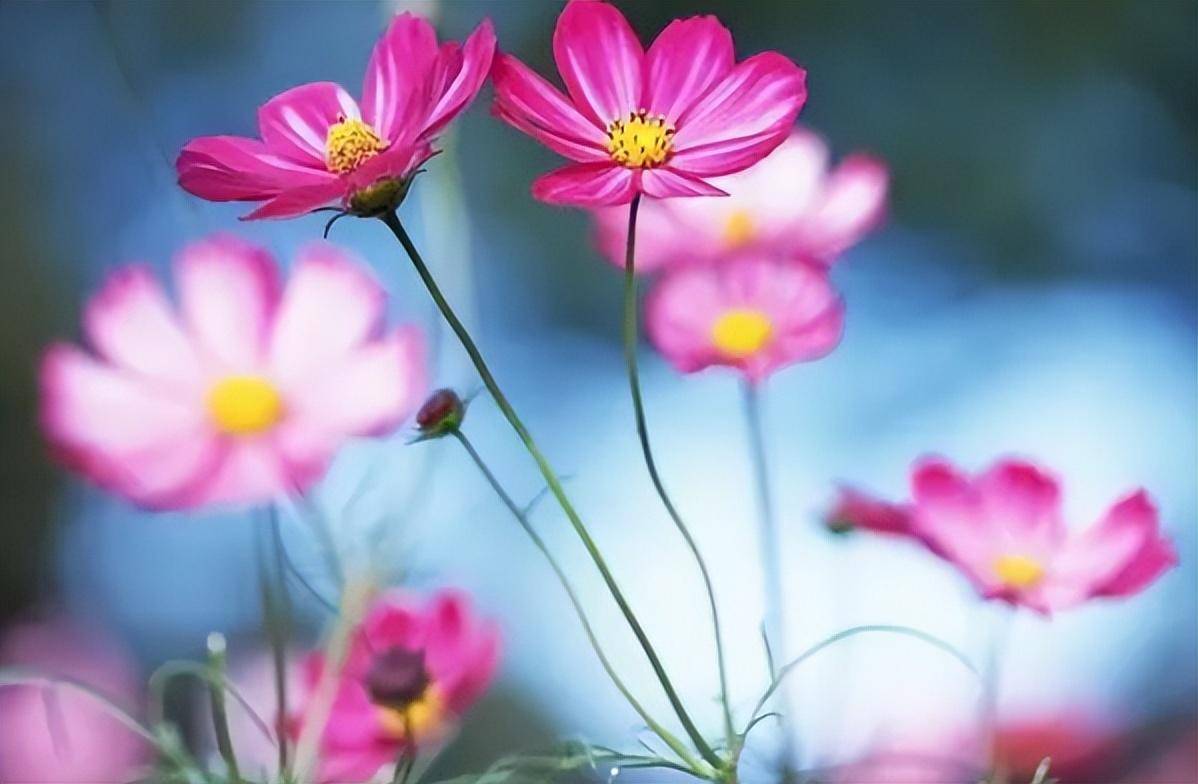 渣和无用改革 动画_渣和无用改革3_渣和无用改革动画