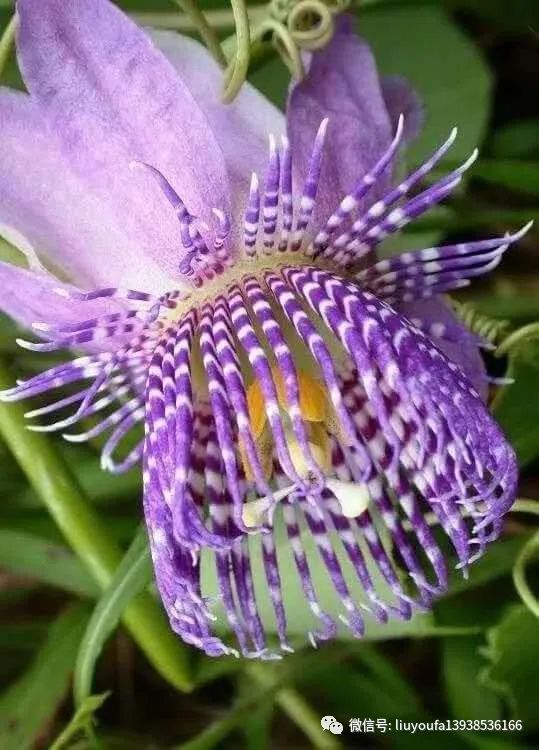 关于力行的心得体会_力行心得怎么写_赢在执行力心得体会200字