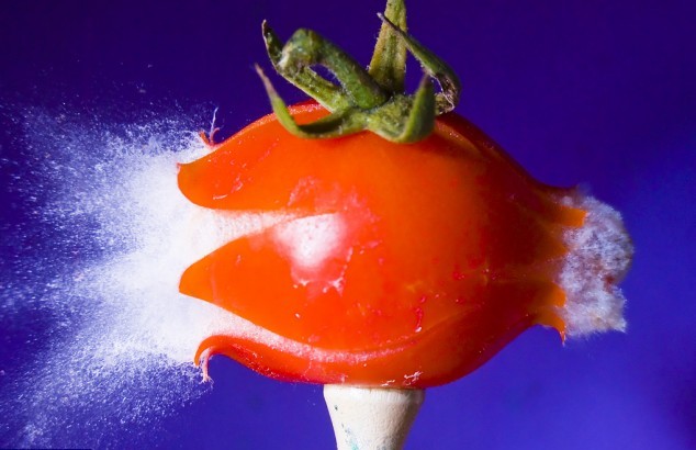 时间停止器系列那部最好看_好看站手机版一个完美的结局_好看站不能用了