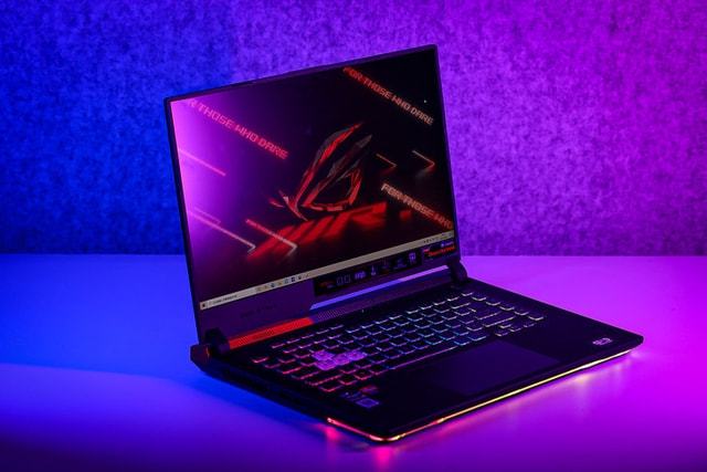 2001个疯子无删减_无主之地疯子装备推荐_无主之地疯子加点