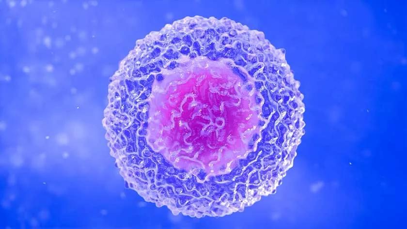 广东蓝狐动画有限公司_蓝狐动漫有限公司_广州蓝狐动漫