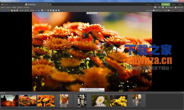 数码照片处理软件有哪些_数码相片处理软件_数码照片处理软件