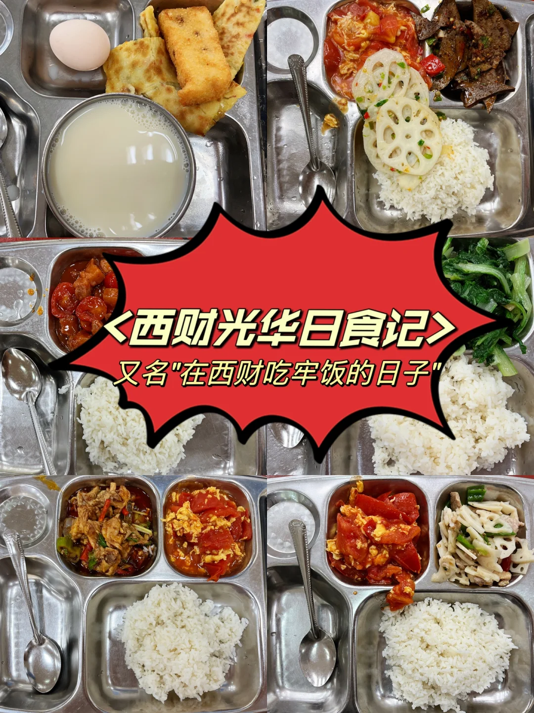 日食记的视频什么软件_播放日食记_日食记视频全集